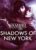 Vampire : The Masquerade – Shadows of New York (Steam)